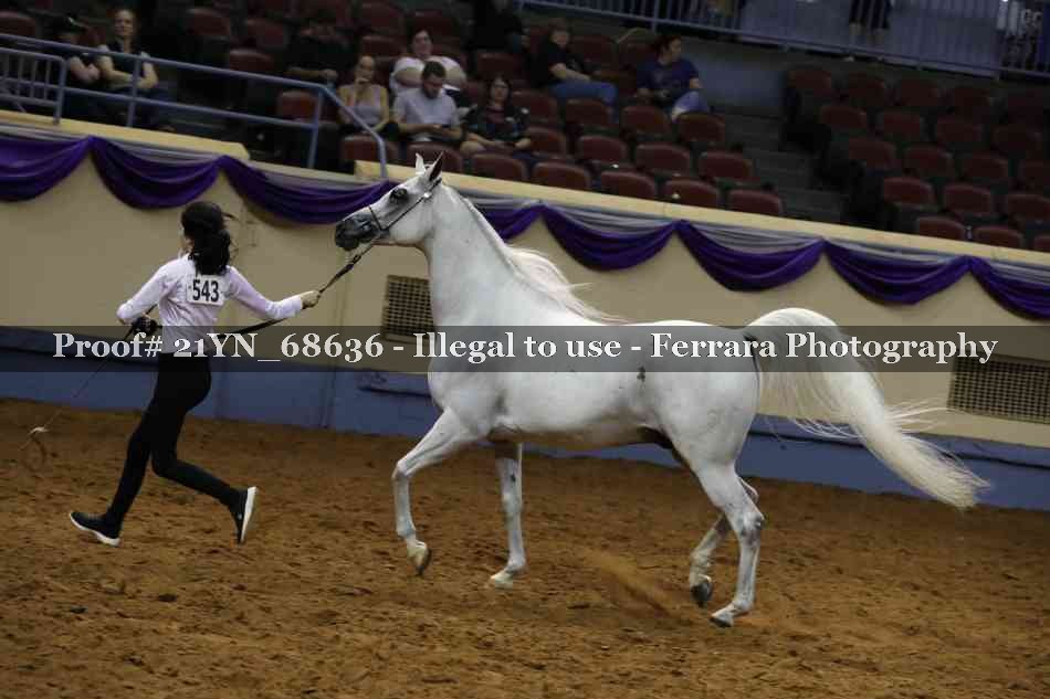 Proof 21YN_68636