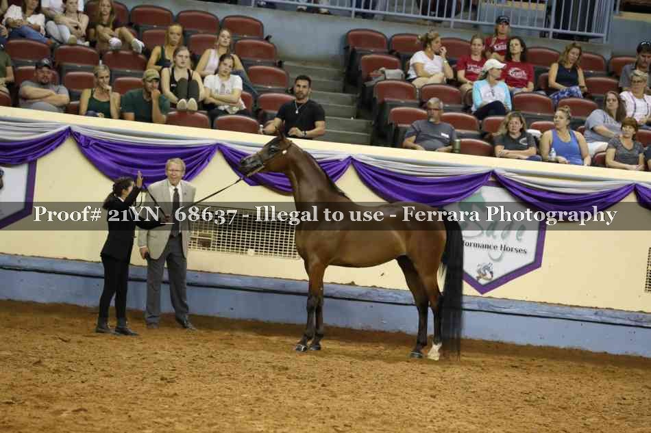 Proof 21YN_68637