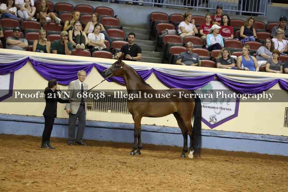 Proof 21YN_68638