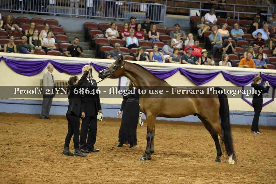 Proof 21YN_68646