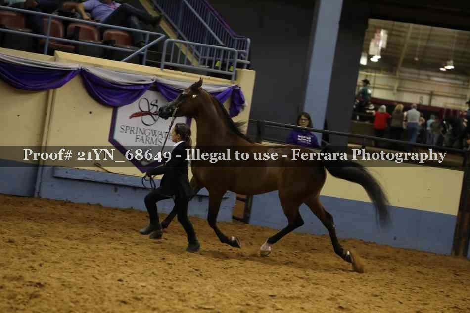 Proof 21YN_68649