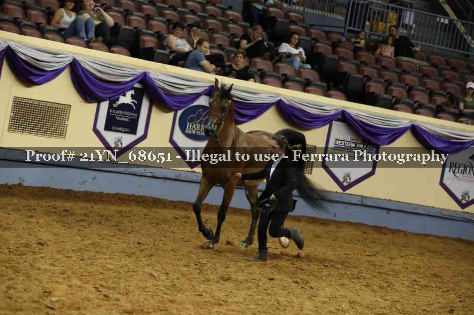 Proof 21YN_68651