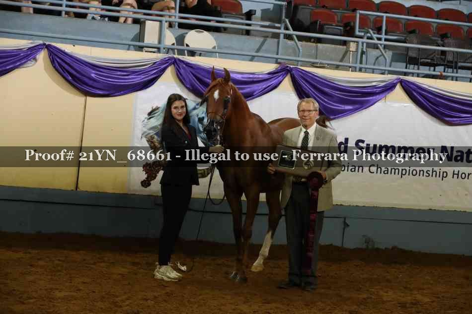 Proof 21YN_68661