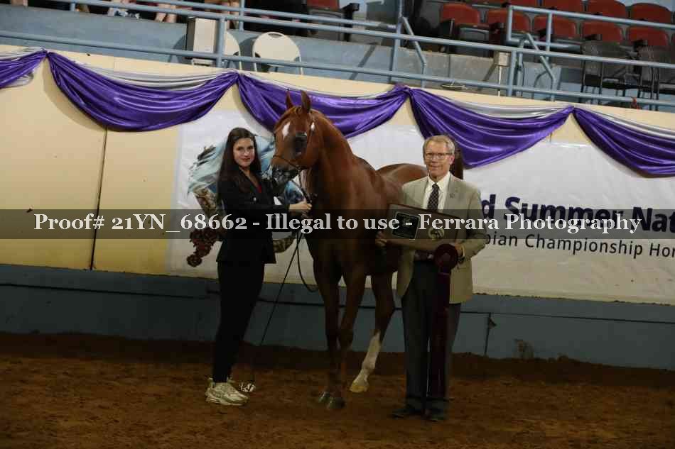 Proof 21YN_68662