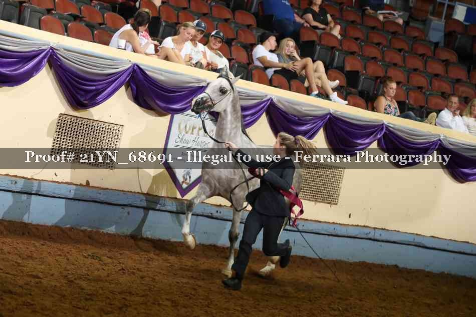 Proof 21YN_68691