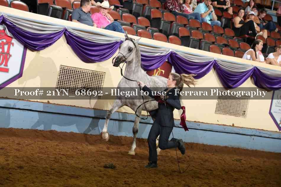 Proof 21YN_68692