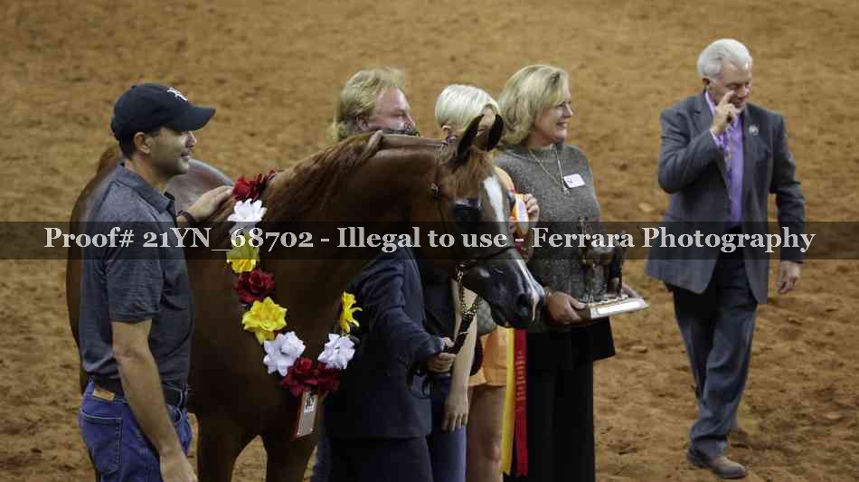 Proof 21YN_68702