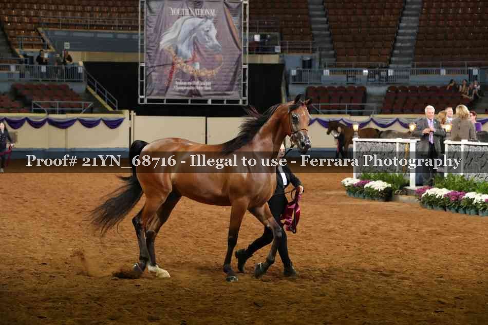 Proof 21YN_68716