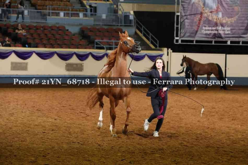 Proof 21YN_68718