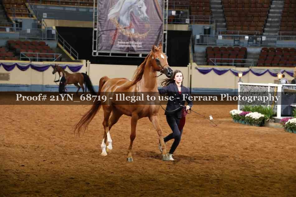 Proof 21YN_68719