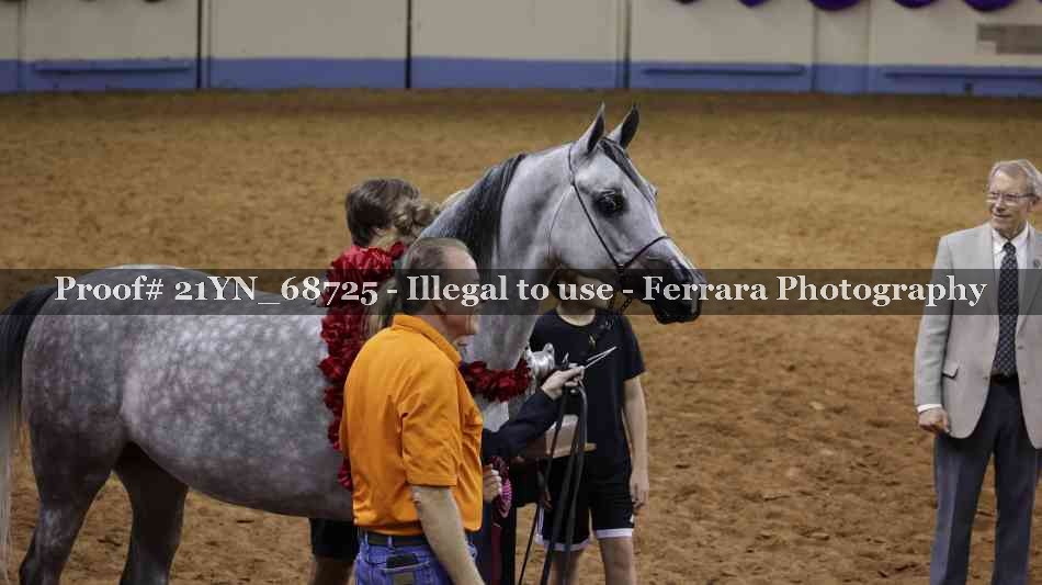 Proof 21YN_68725