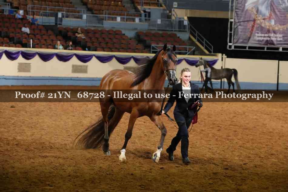 Proof 21YN_68728