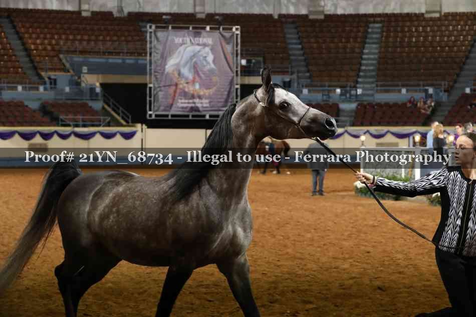 Proof 21YN_68734
