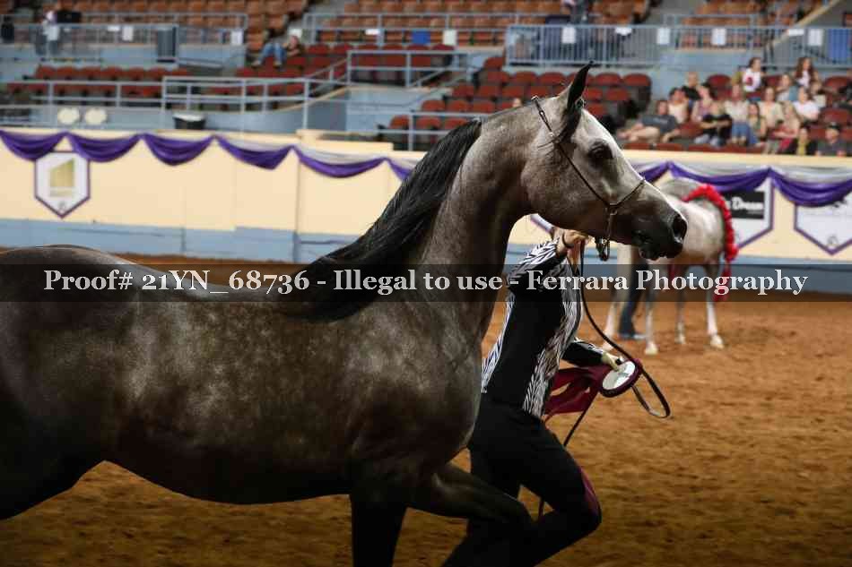Proof 21YN_68736