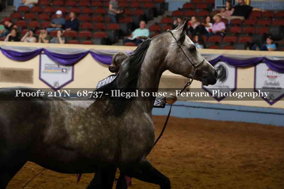 Proof 21YN_68737