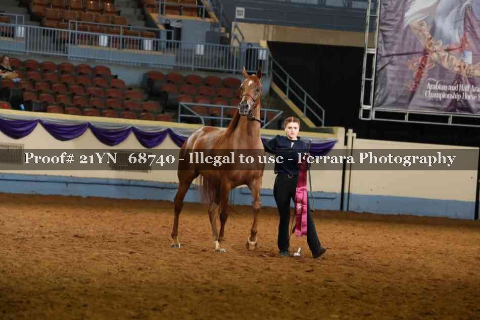 Proof 21YN_68740