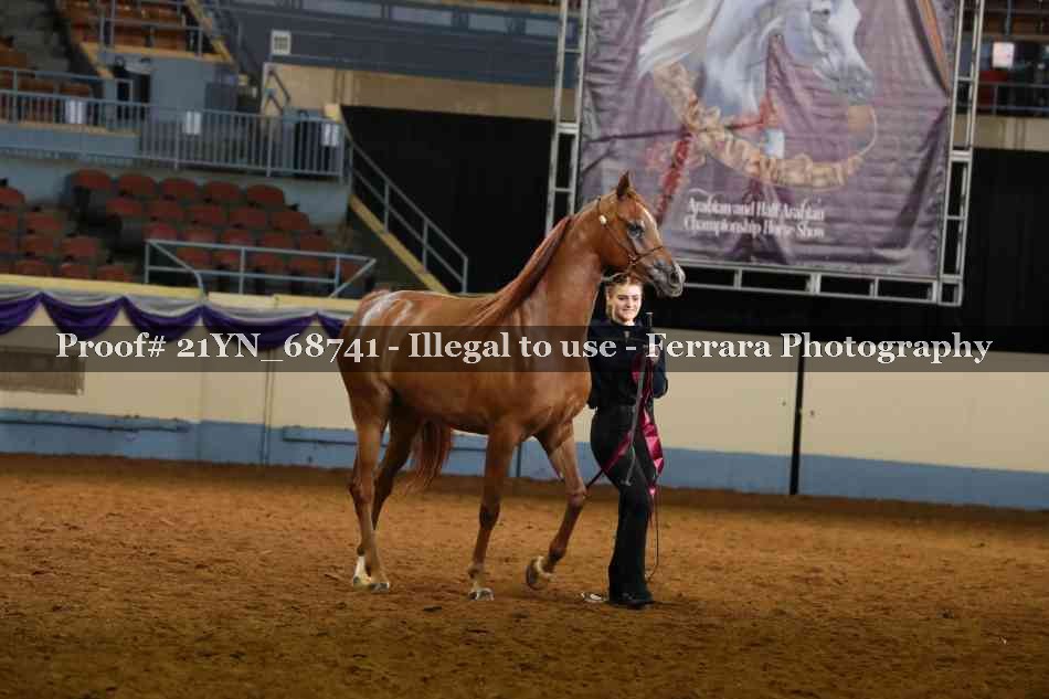 Proof 21YN_68741