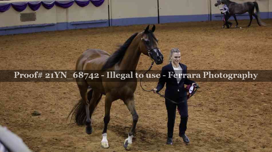Proof 21YN_68742