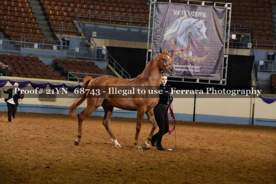 Proof 21YN_68743
