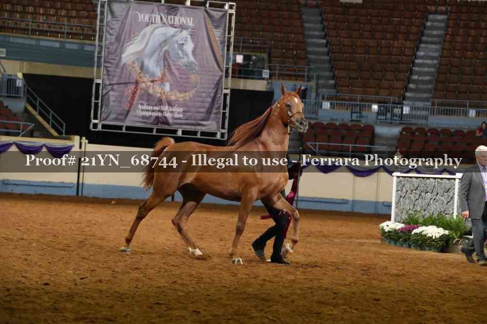 Proof 21YN_68744