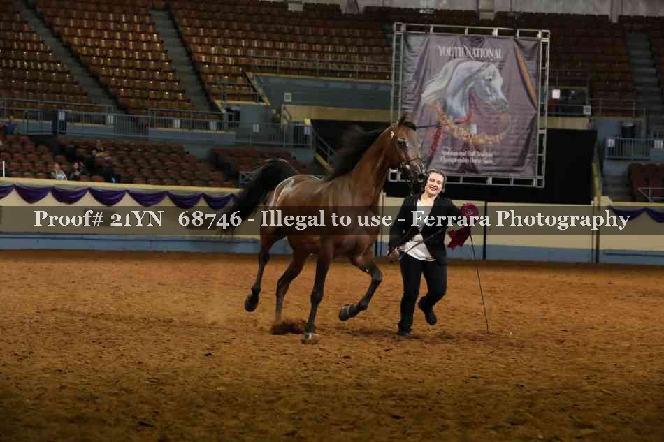 Proof 21YN_68746