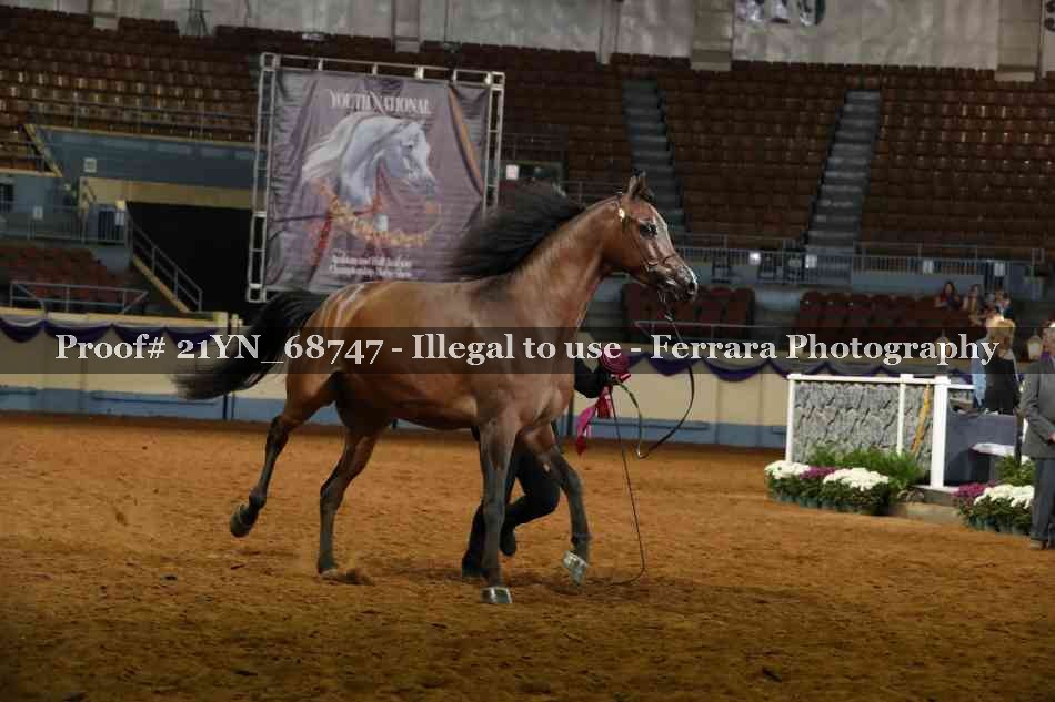 Proof 21YN_68747