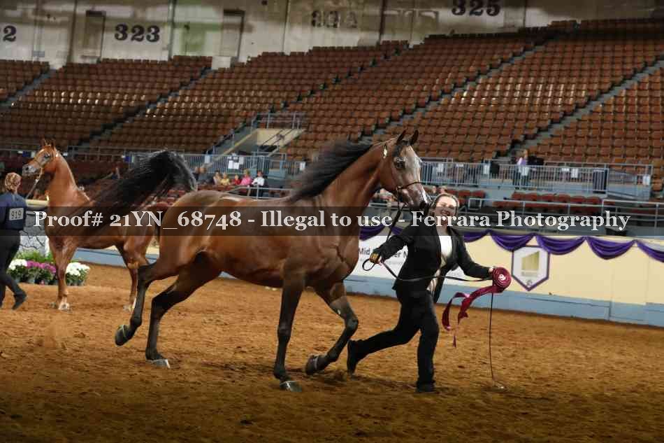 Proof 21YN_68748