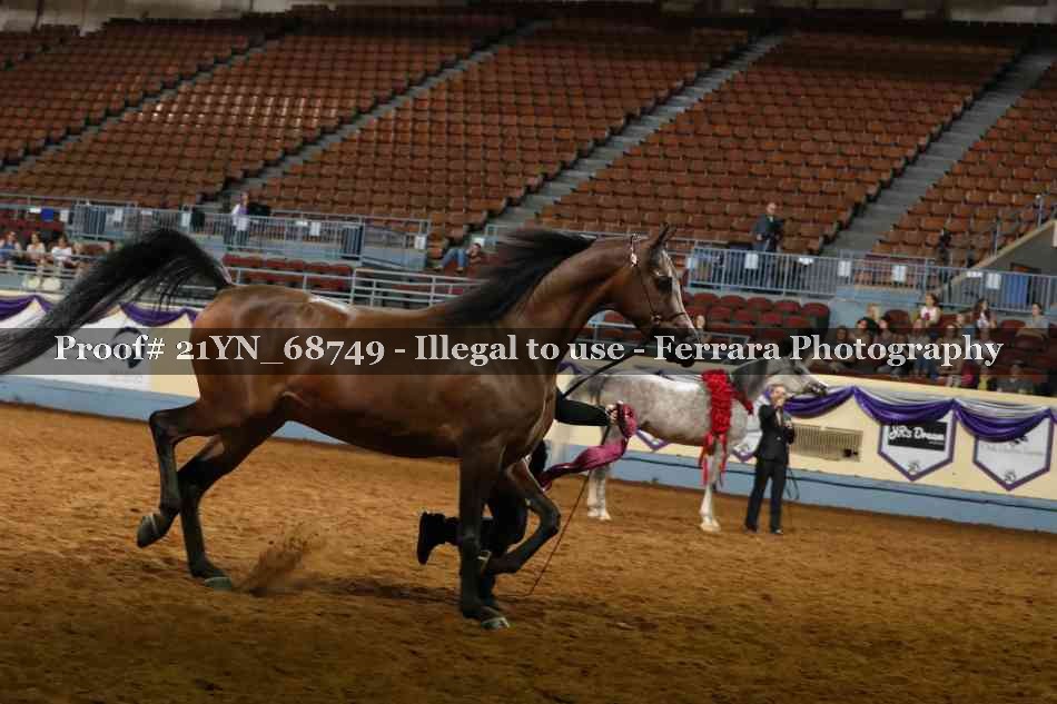 Proof 21YN_68749