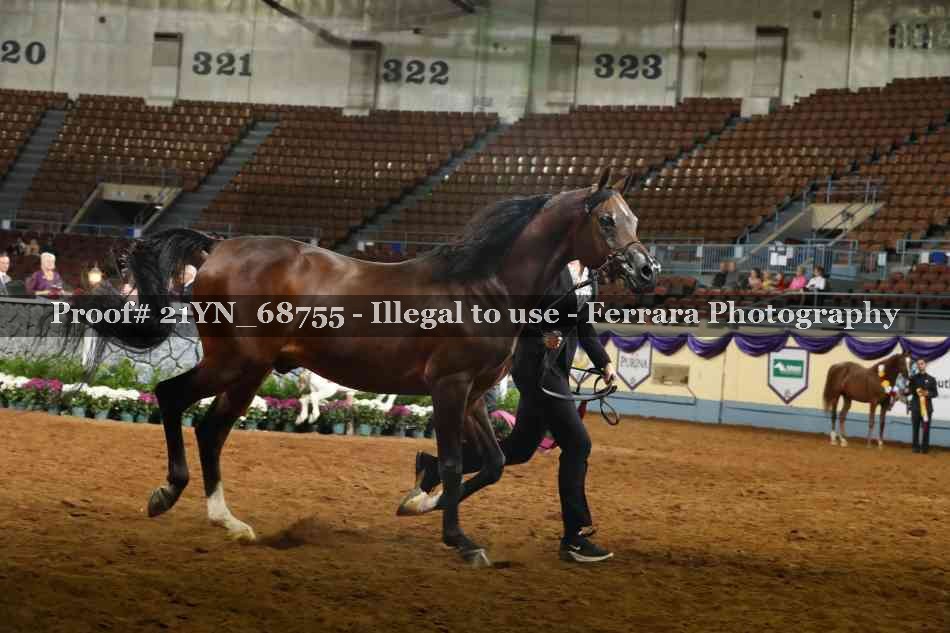 Proof 21YN_68755
