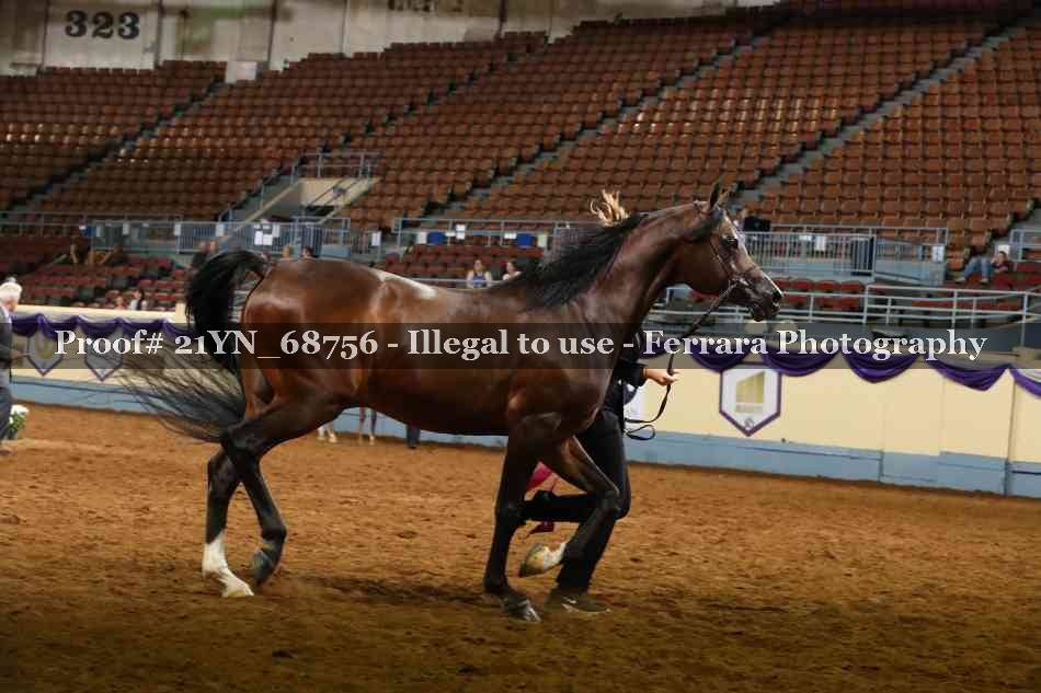 Proof 21YN_68756