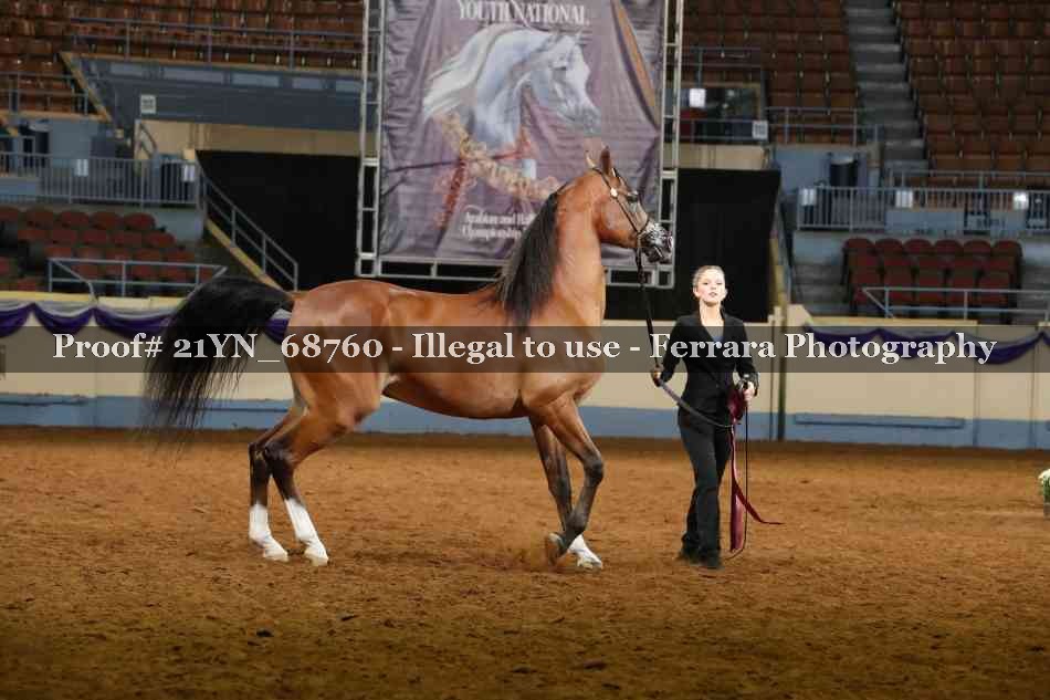 Proof 21YN_68760