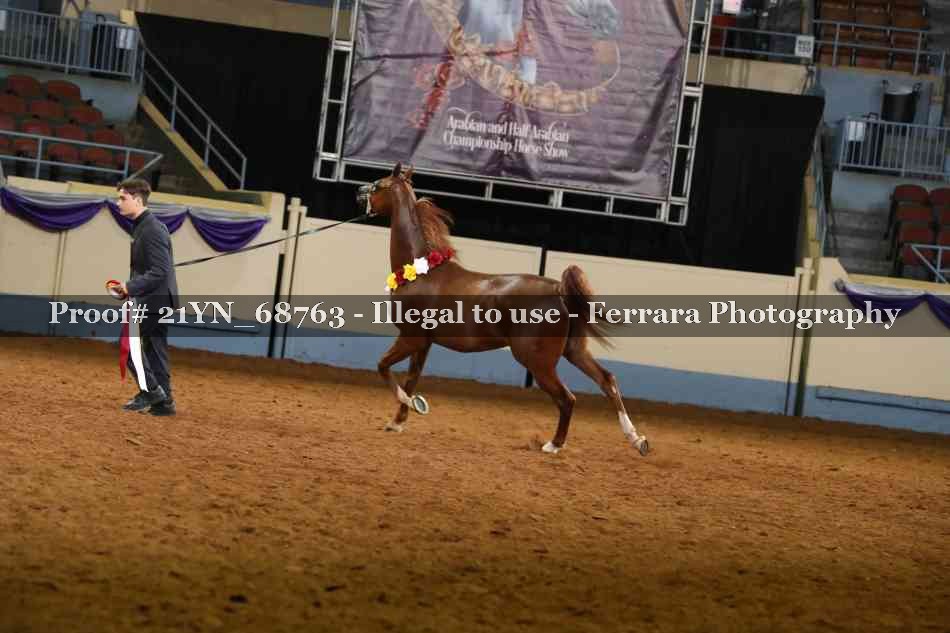 Proof 21YN_68763