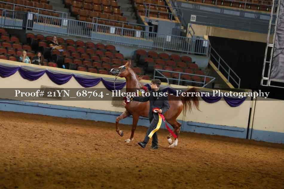 Proof 21YN_68764
