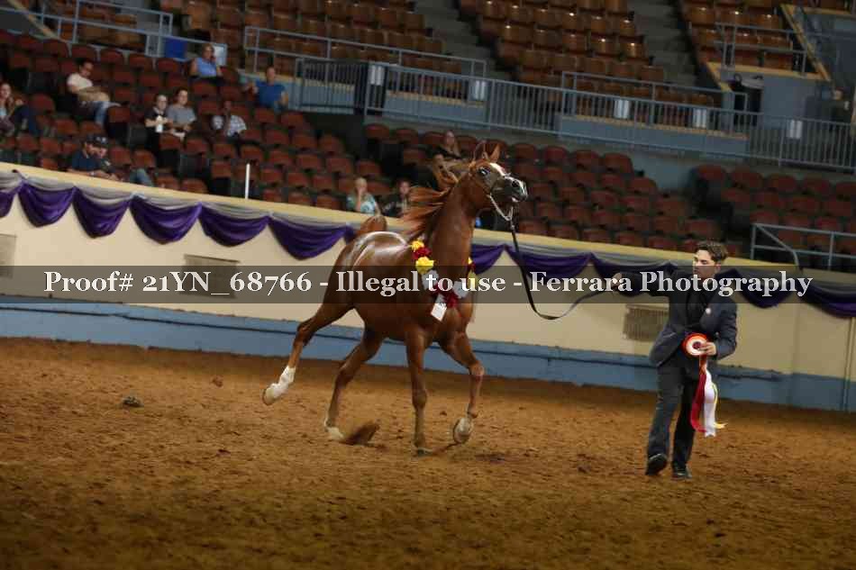 Proof 21YN_68766