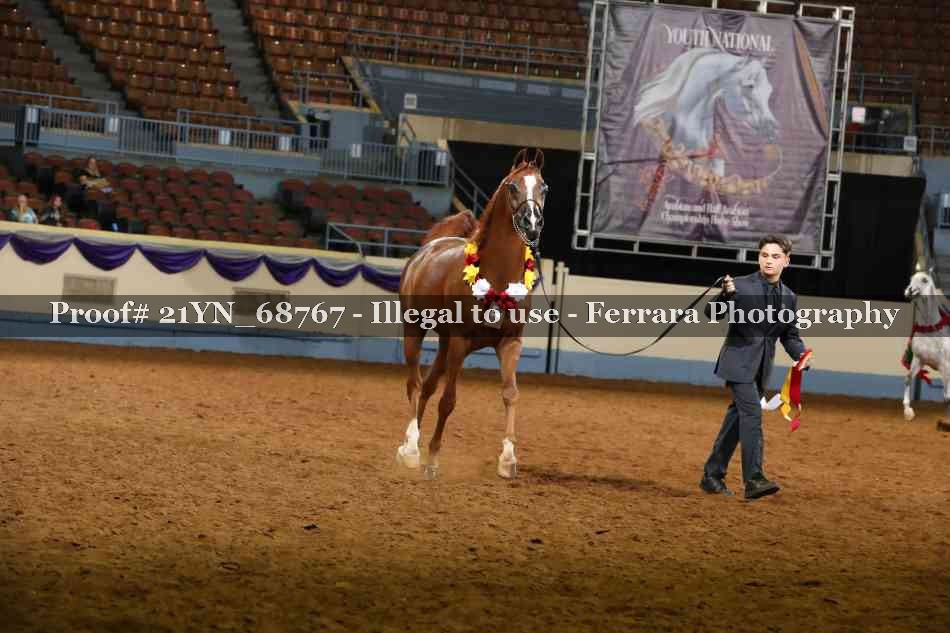 Proof 21YN_68767