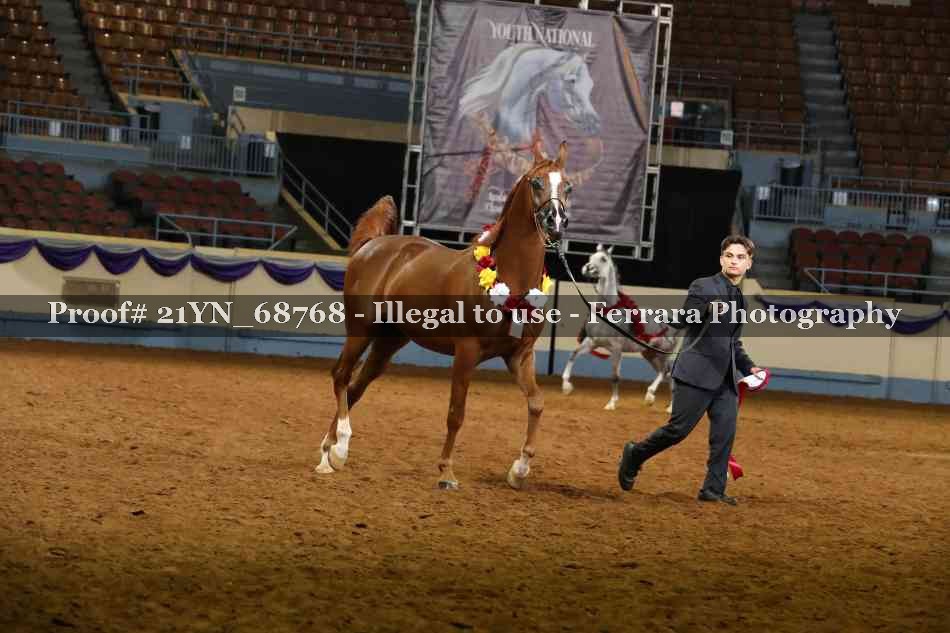 Proof 21YN_68768