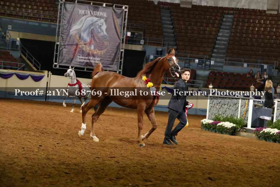Proof 21YN_68769