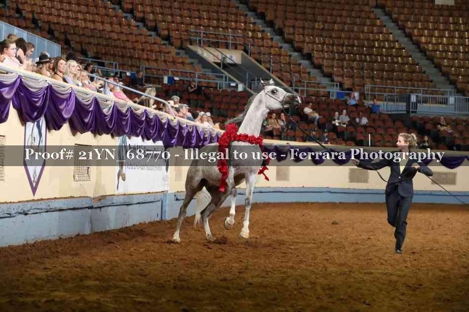 Proof 21YN_68770