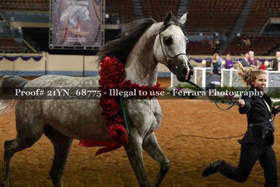 Proof 21YN_68775