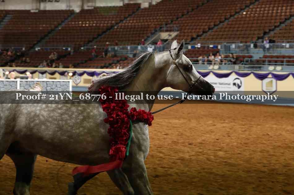 Proof 21YN_68776