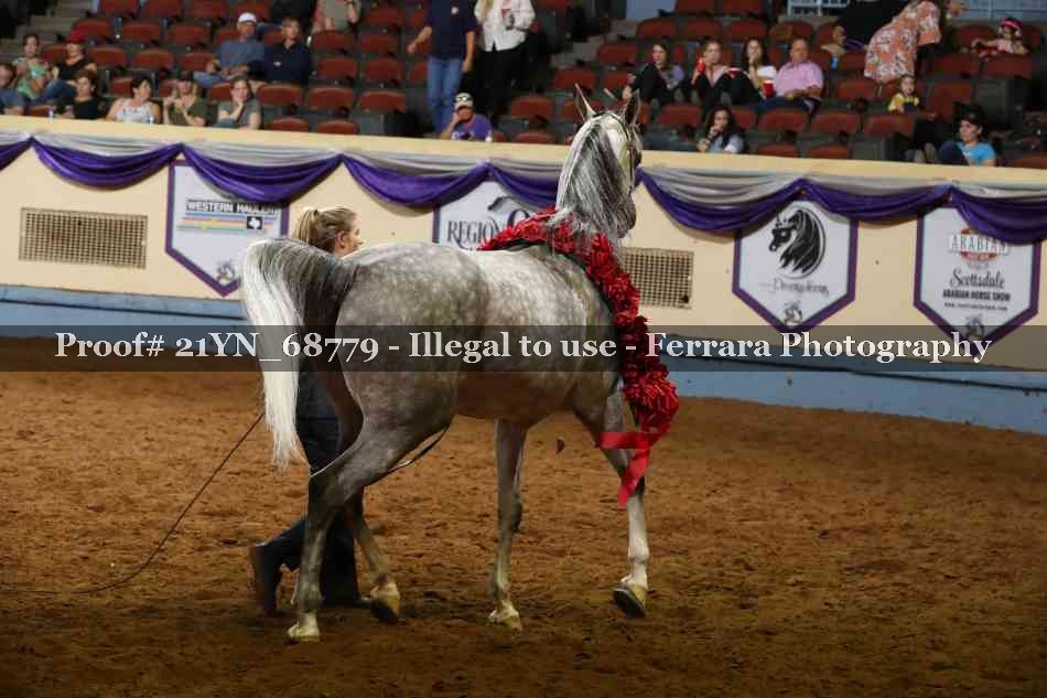 Proof 21YN_68779