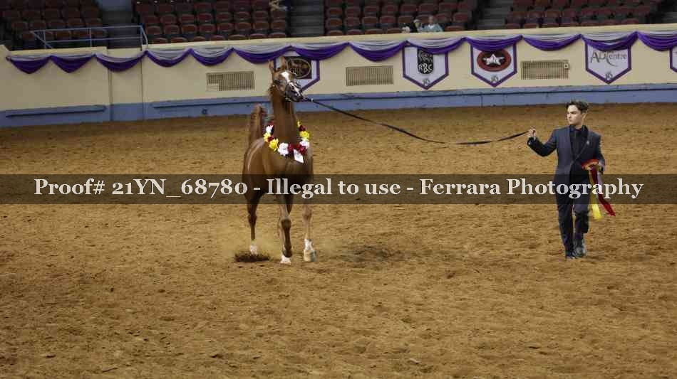 Proof 21YN_68780
