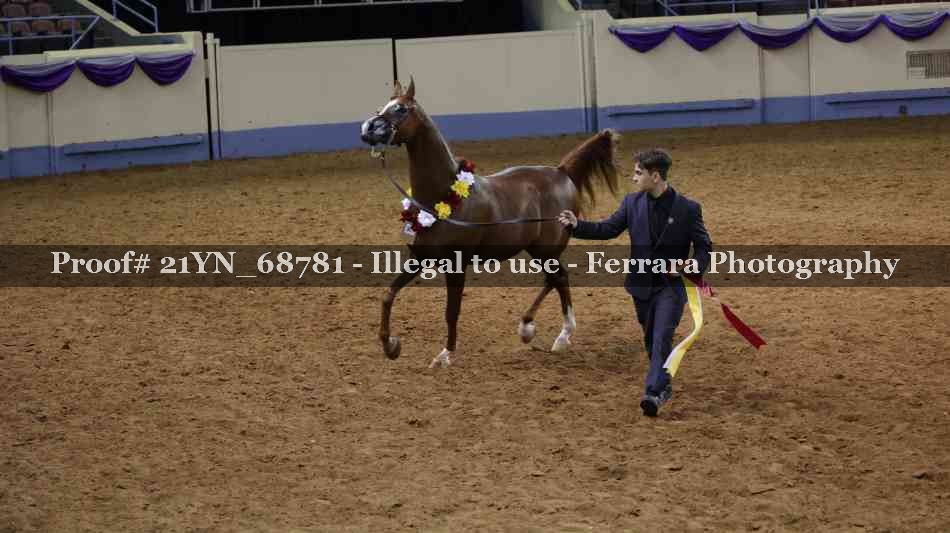 Proof 21YN_68781