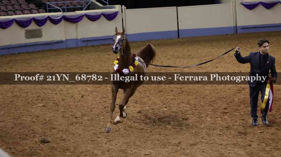 Proof 21YN_68782