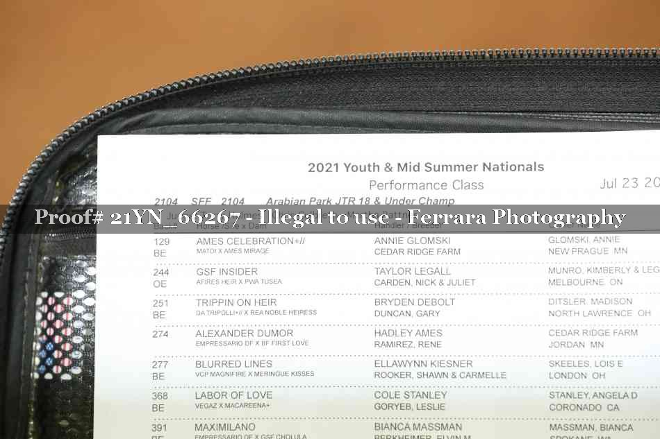 Proof 21YN_66267