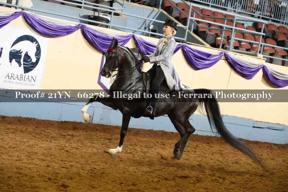 Proof 21YN_66278