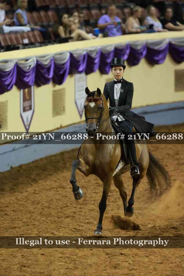 Proof 21YN_66288
