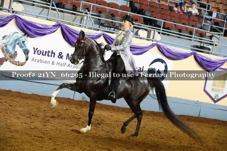 Proof 21YN_66295