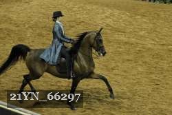 21YN_66297 proof