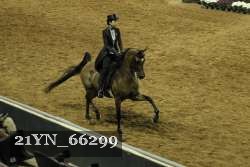 21YN_66299 proof